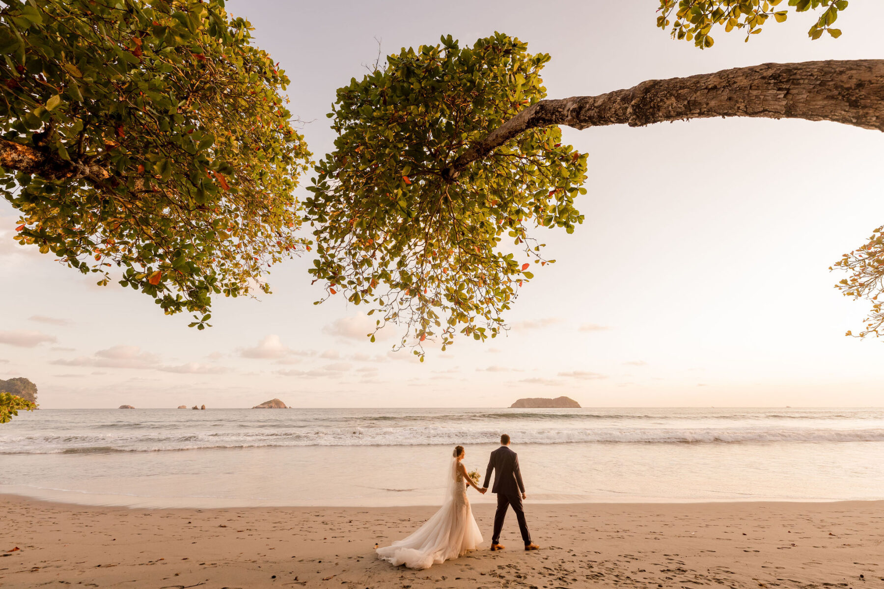 Allie & Adam - Tropical Occasions